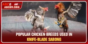 Steel-Spur Sabong